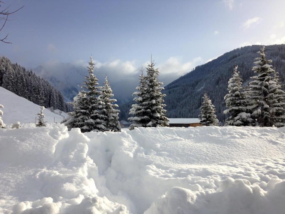 Hotel Andrea 3-sterne Superior